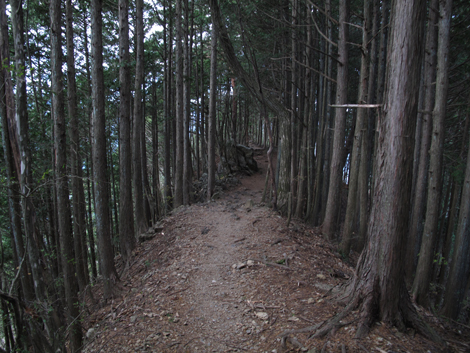 20171116hike (288)